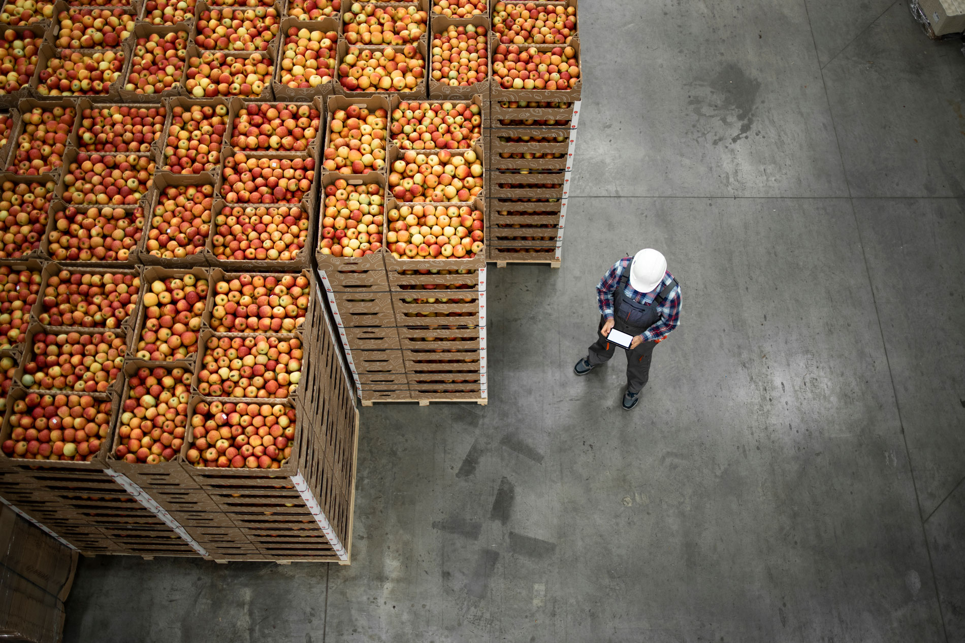 Comércio internacional de frutas em escala global